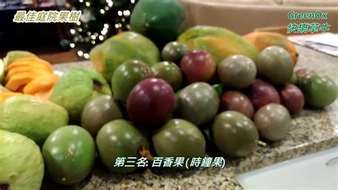 最好種的果樹|庭院內建議種那些果樹 Suggested fruit trees for courtyard